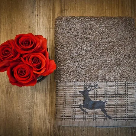 Lohwald-appartment 3* Oberwurschnitz