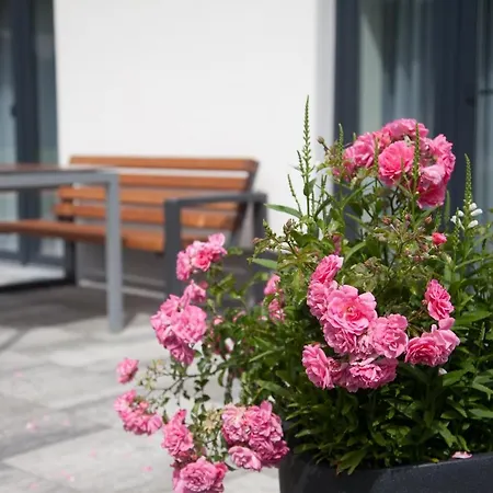 Lohwald-appartment Oberwurschnitz