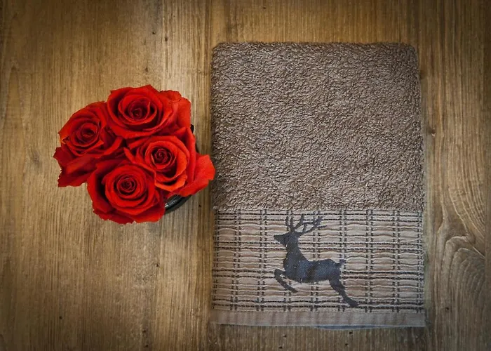 Lohwald-appartment 3* Oberwurschnitz