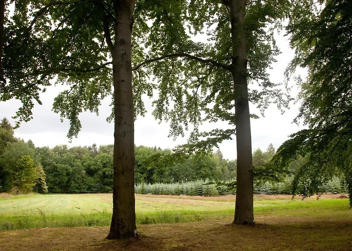 Lohwald-appartment 3* Oberwurschnitz